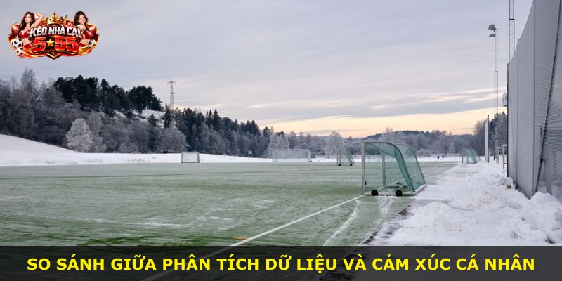 So sánh giữa phân tích dữ liệu và cảm xúc cá nhân