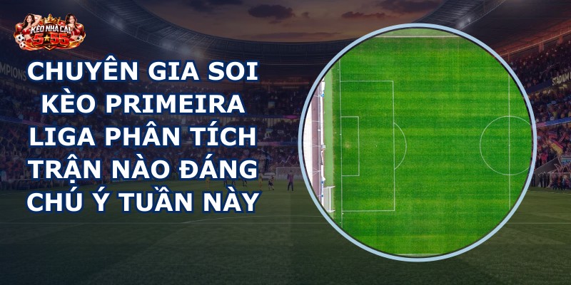 chuyên gia soi kèo Primeira Liga