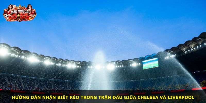 Hướng dẫn nhận biết kèo trong trận đấu giữa Chelsea và Liverpool