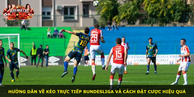 Hướng dẫn về kèo trực tiếp Bundesliga và cách đặt cược hiệu quả