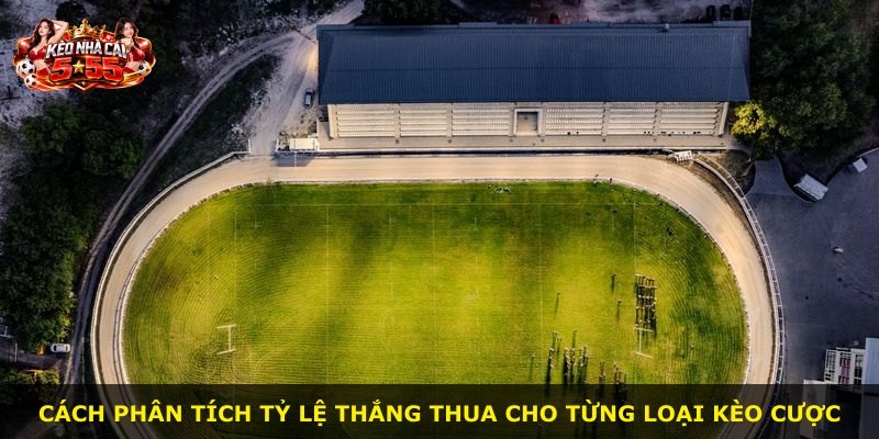 Cách phân tích tỷ lệ thắng thua cho từng loại kèo cược