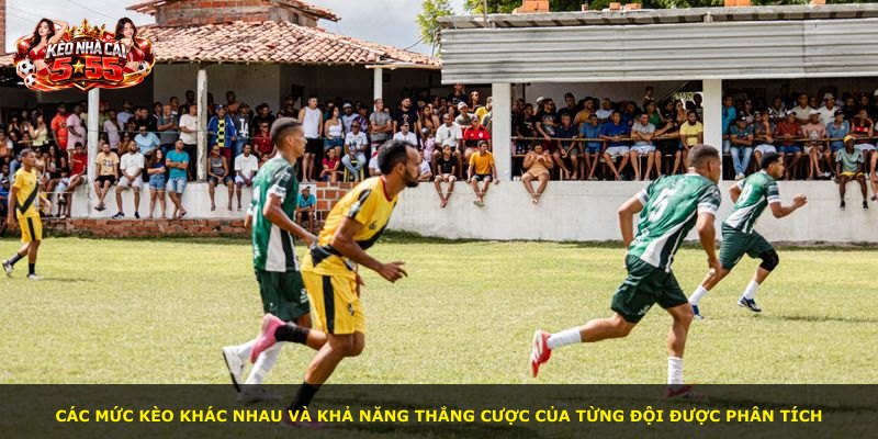 Các mức kèo khác nhau và khả năng thắng cược của từng đội được phân tích