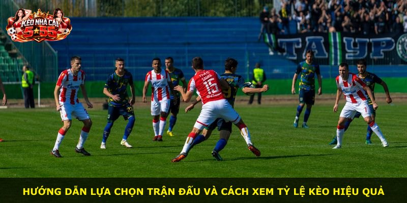 Hướng dẫn lựa chọn trận đấu và cách xem tỷ lệ kèo hiệu quả