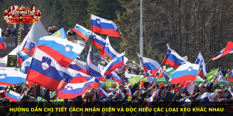Hướng dẫn chi tiết cách nhận diện và đọc hiểu các loại kèo khác nhau