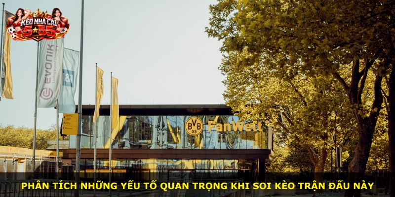 Phân tích những yếu tố quan trọng khi soi kèo trận đấu này