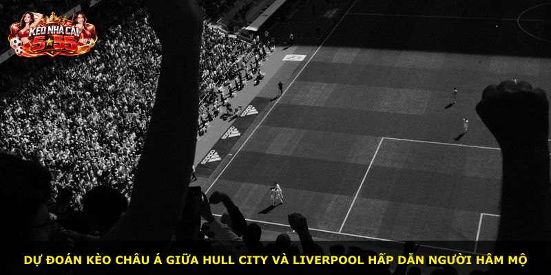 Dự đoán kèo châu Á giữa Hull City và Liverpool hấp dẫn người hâm mộ