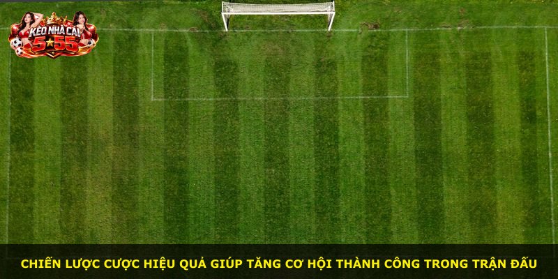 Chiến lược cược hiệu quả giúp tăng cơ hội thành công trong trận đấu