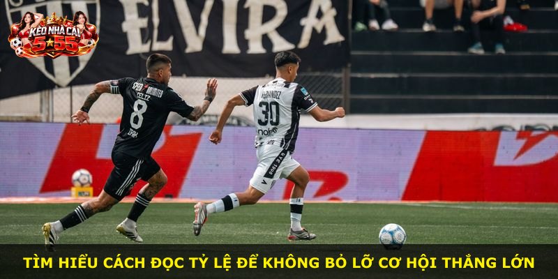 Tìm hiểu cách đọc tỷ lệ để không bỏ lỡ cơ hội thắng lớn