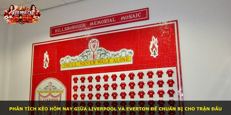 Phân tích kèo hôm nay giữa Liverpool và Everton để chuẩn bị cho trận đấu