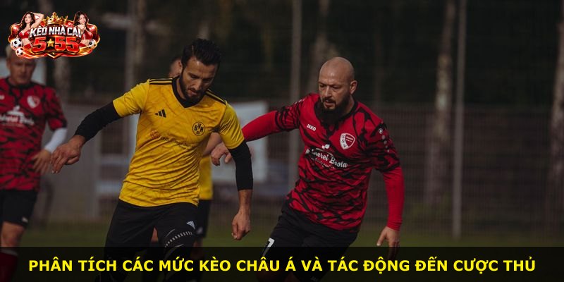 Phân tích các mức kèo châu Á và tác động đến cược thủ