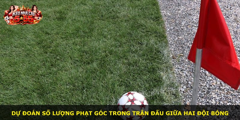 Dự đoán số lượng phạt góc trong trận đấu giữa hai đội bóng