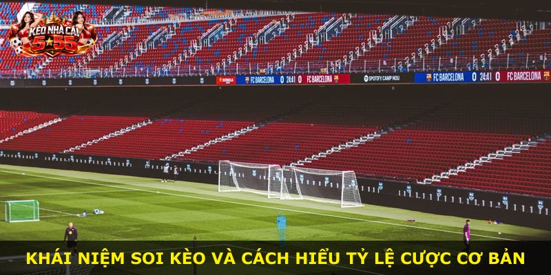 Khái niệm soi kèo và cách hiểu tỷ lệ cược cơ bản