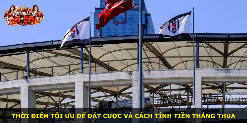 Thời điểm tối ưu để đặt cược và cách tính tiền thắng thua