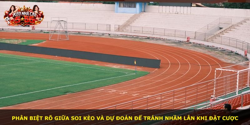 Phân biệt rõ giữa soi kèo và dự đoán để tránh nhầm lẫn khi đặt cược