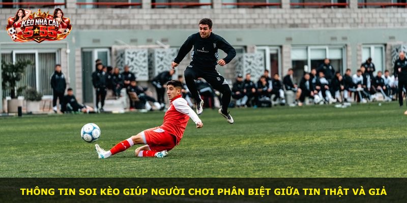 Thông tin soi kèo giúp người chơi phân biệt giữa tin thật và giả
