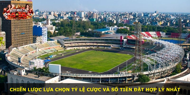 Chiến lược lựa chọn tỷ lệ cược và số tiền đặt hợp lý nhất
