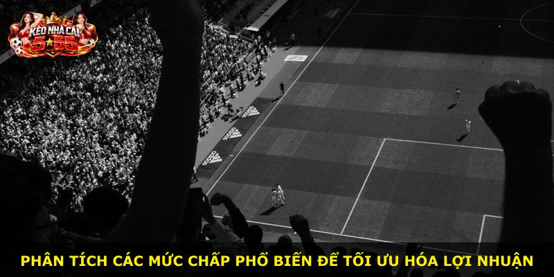 Phân tích các mức chấp phổ biến để tối ưu hóa lợi nhuận