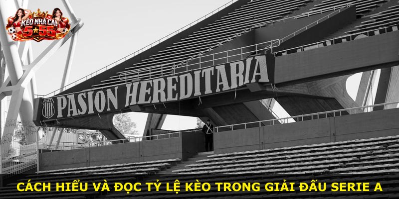 Cách hiểu và đọc tỷ lệ kèo trong giải đấu Serie A