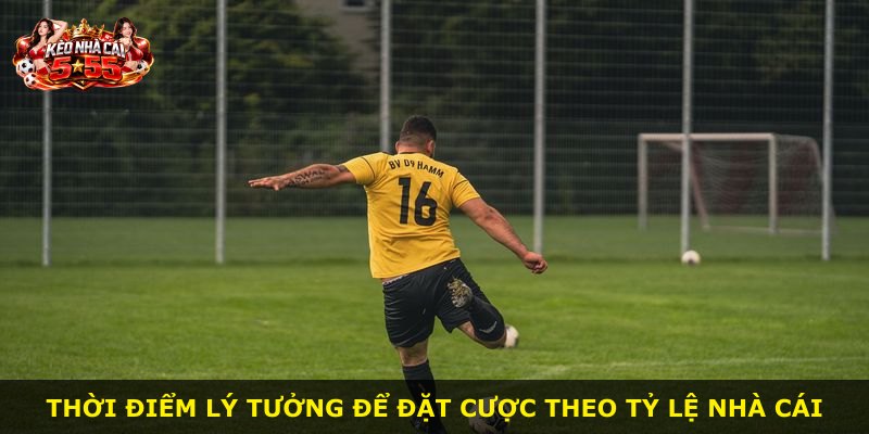 Thời điểm lý tưởng để đặt cược theo tỷ lệ nhà cái